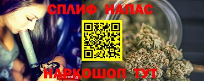 дмт Пенза