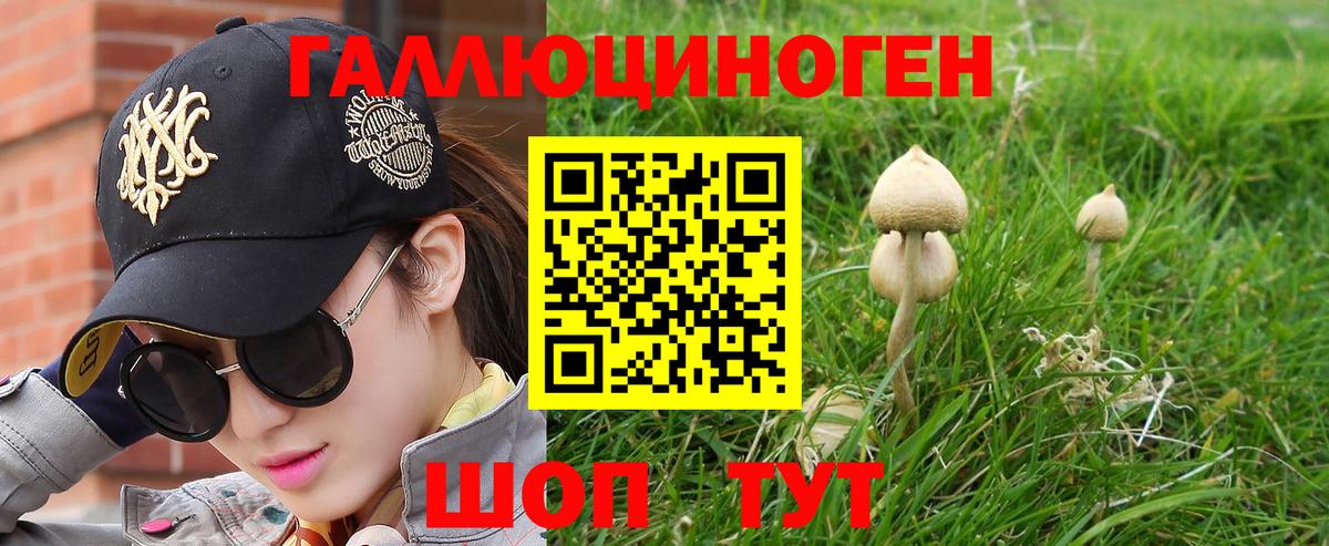 Сибай  Галлюциногенные грибы мицелий  Вход с VPN 